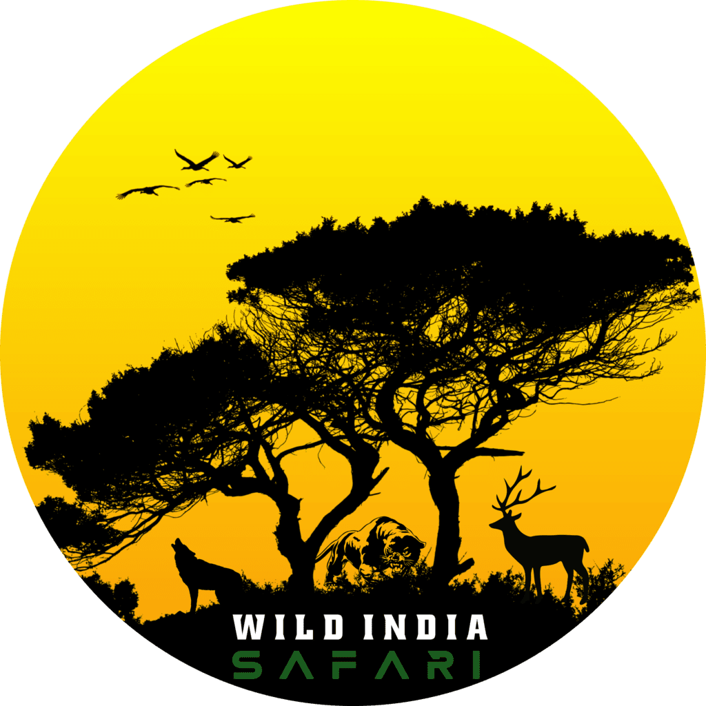 jungle-safari-wild-india-logo