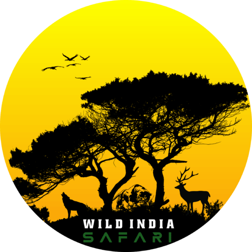 wild india safari