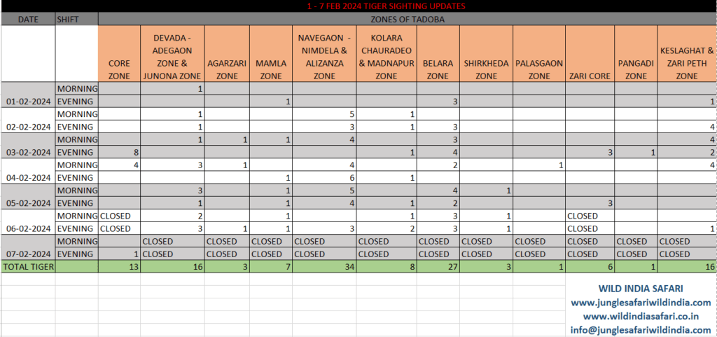 tadoba-tiger-sighting-updates