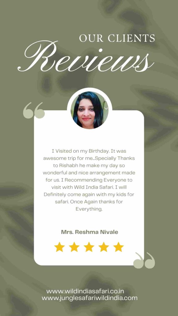 Client testimonial for Wild India Safari praising their memorable birthday trip and recommending their services