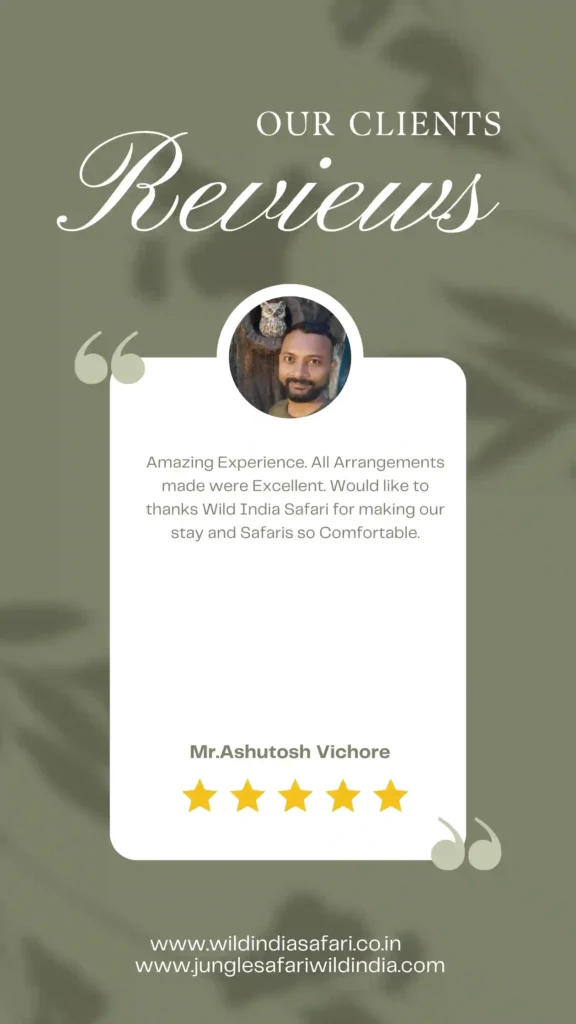 A customer review for Wild India Safari, highlighting a positive experience.