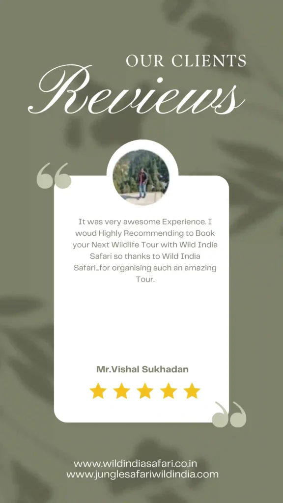 A promotional image featuring a customer review for a wildlife tour company, with decorative leaf patterns in the background.