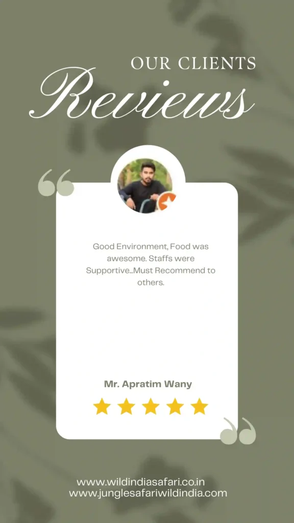 A promotional image featuring a customer review for a safari service. The background is pale green with leaf patterns, and there’s a quote at the center in a speech bubble design.