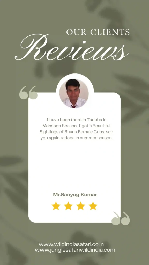 A client review for Wild India Safari with a pale green background and leaf patterns, featuring a testimonial from Mr. Sanyog Kumar about the Tadoba in Monsoon Season experience.