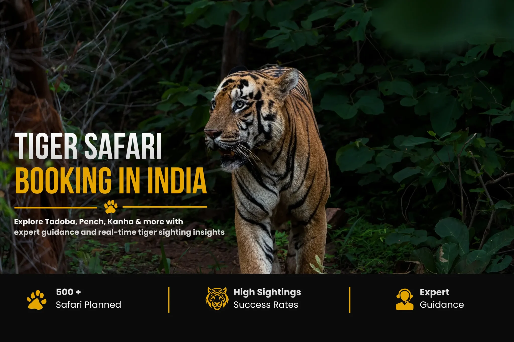 tiger safari booking in india
