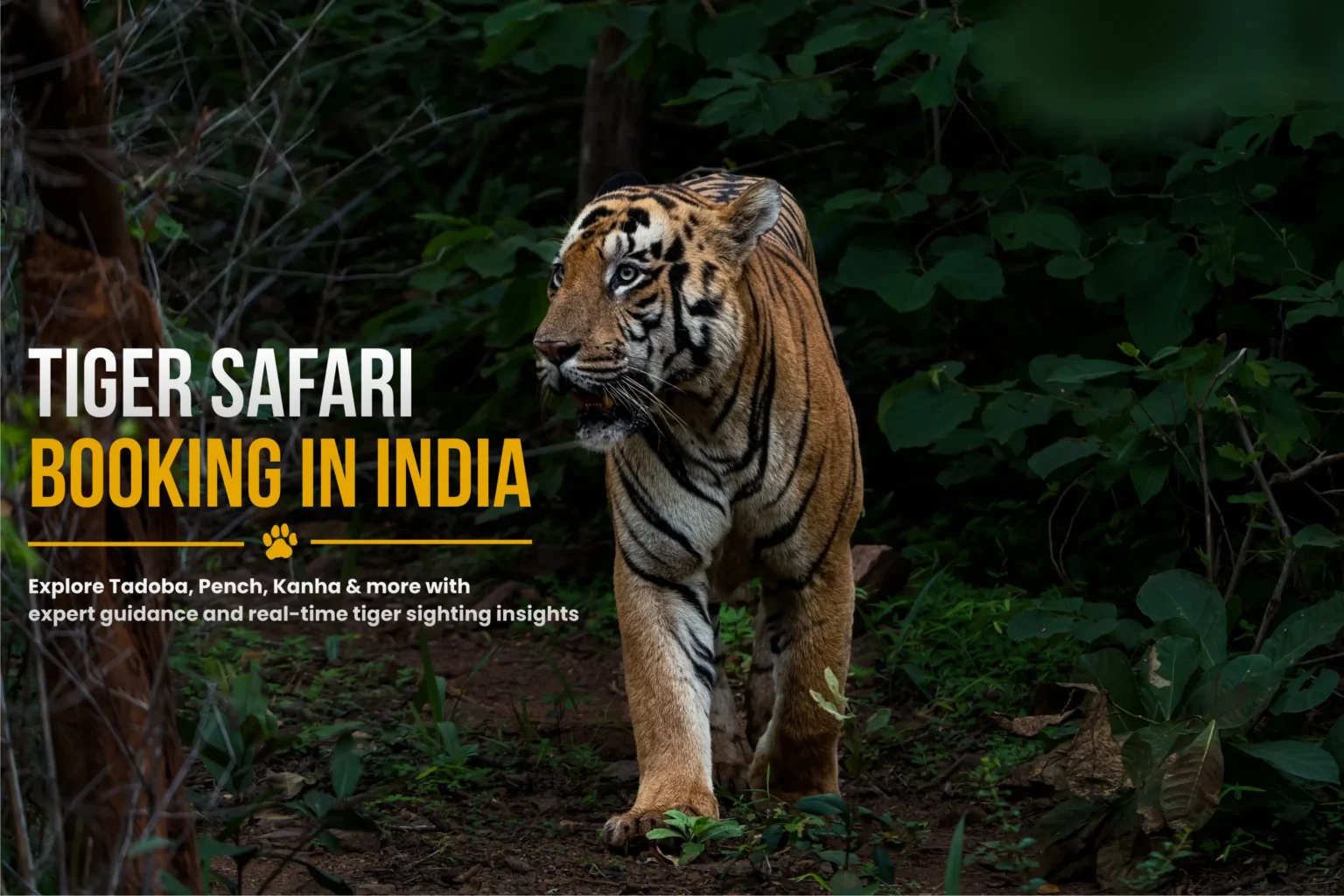tiger safari booking in india